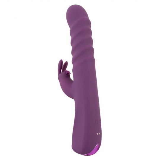 2 FUNCTION RABBIT VIBRATOR