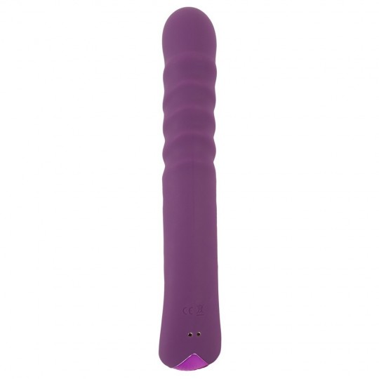 2 FUNCTION RABBIT VIBRATOR