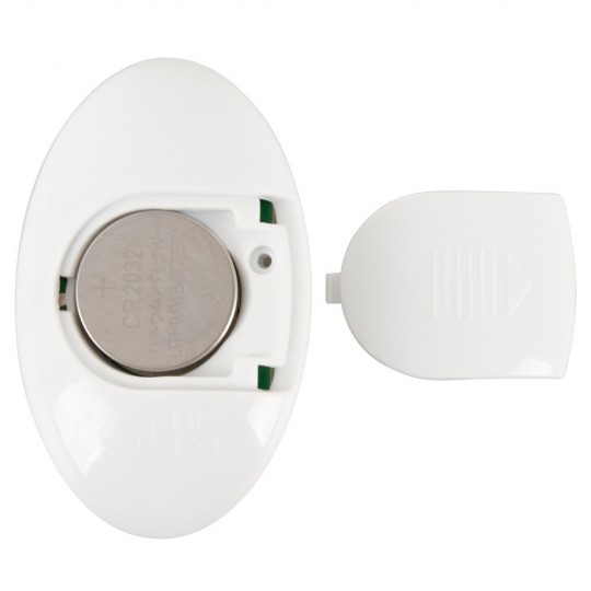 RC ROTATING BUTT PLUG