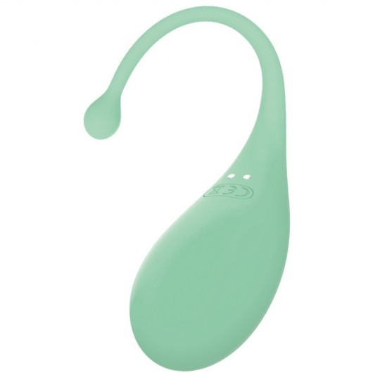 OEUF VIBRANT AVEC CONTRÔLE PAR APPLICATION PALPITATION ADRIEN LASTIC