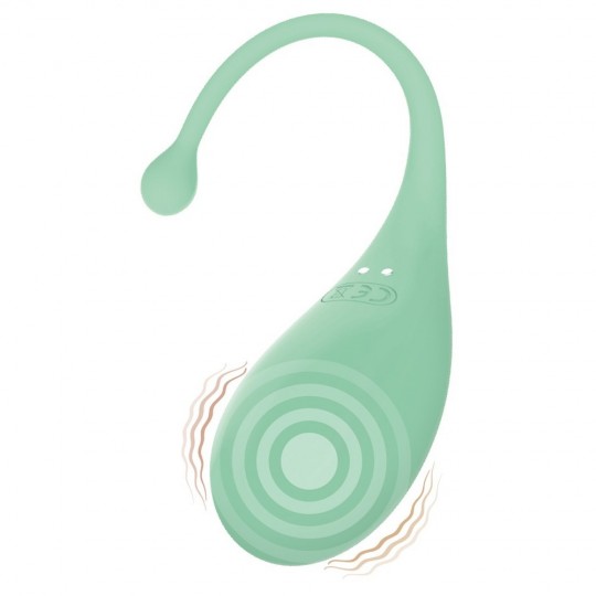 OEUF VIBRANT AVEC CONTRÔLE PAR APPLICATION PALPITATION ADRIEN LASTIC