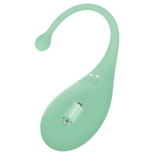 OEUF VIBRANT AVEC CONTRÔLE PAR APPLICATION PALPITATION ADRIEN LASTIC