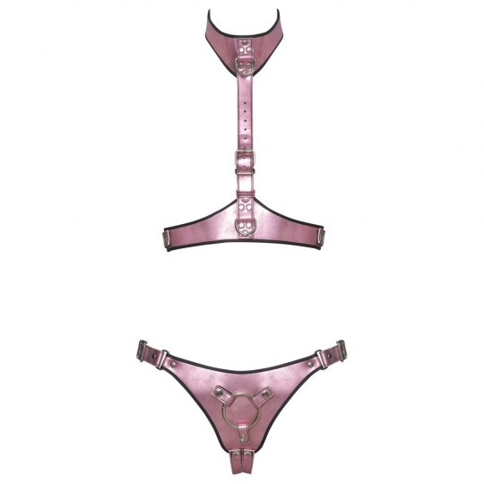HARNESS SET