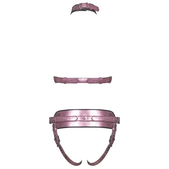 HARNESS SET