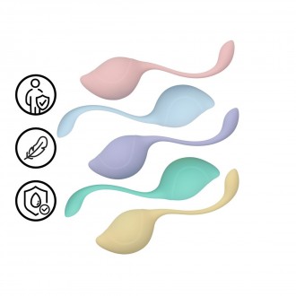 PELVIC STEM KEGEL KIT - MULTICOLOR
