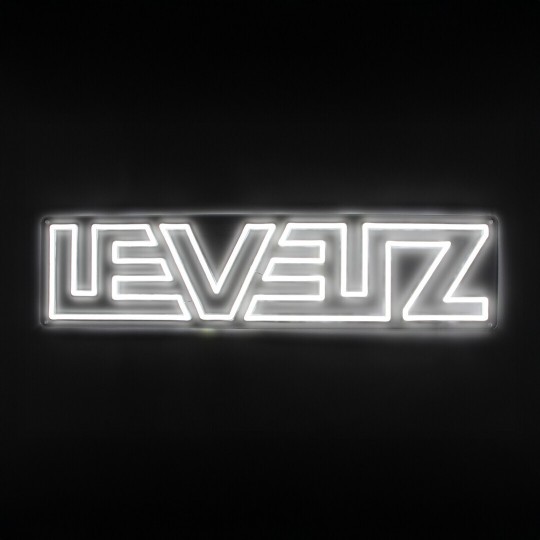 LED NEON BRAND SIGN - LEVELZ