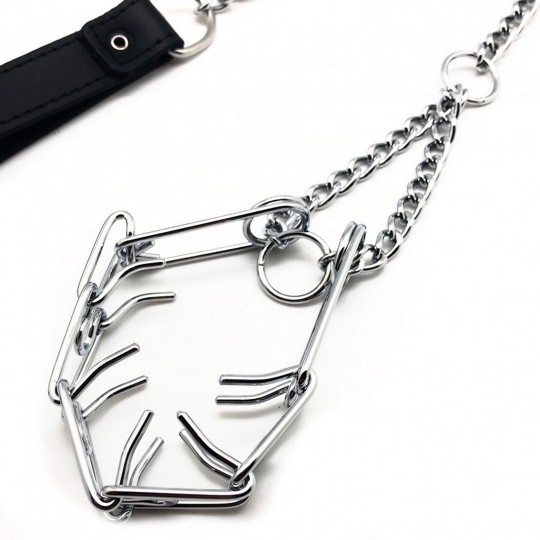 LEASH WITH CHOKER FOR PENIS - BLACK/SILVER