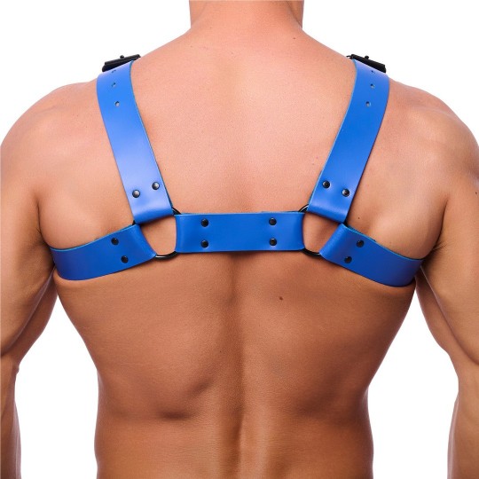 BULLDOG LEATHER HARNESS - BLUE