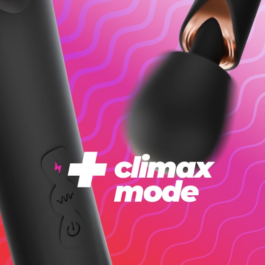 HOLLY VIBROMASSEUR WAND RECHARGEABLE NOIR CRUSHIOUS