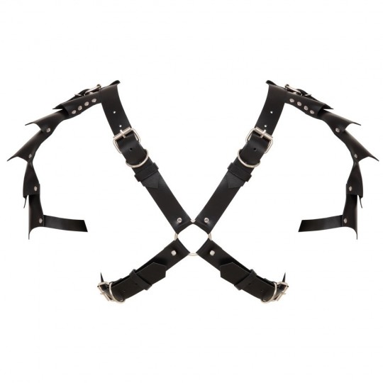 LEATHER HARNESS