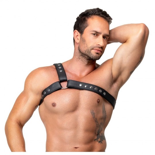 LEATHER CHEST HARNESS