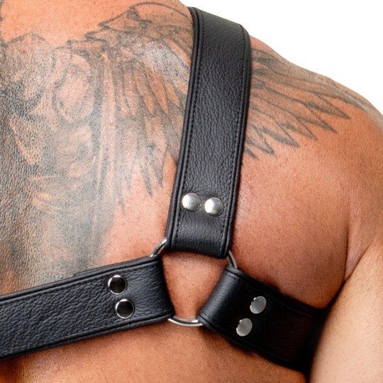 LEATHER CHEST HARNESS