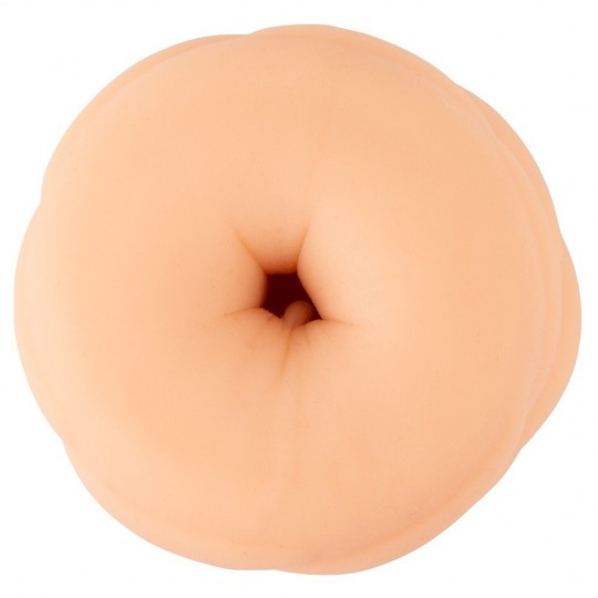 4 FUNCTION TOY
