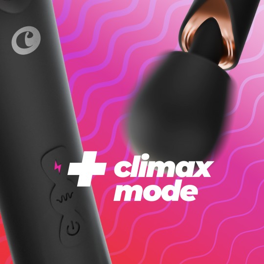 HOLLY VIBROMASSEUR WAND RECHARGEABLE NOIR CRUSHIOUS