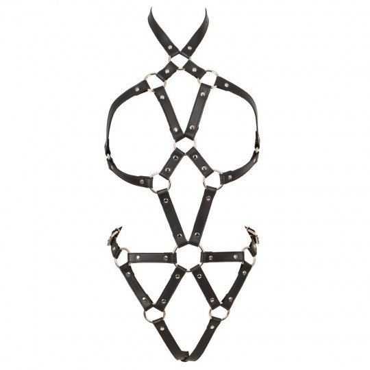 HARNESS