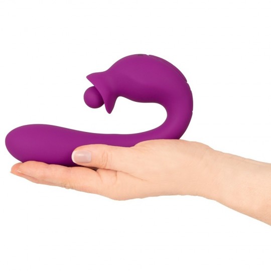 VIBRATOR WITH DOUBLE ROTATION