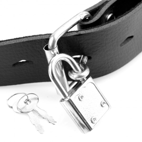 FETISH FANTASY SERIESDELUXE BALL GAG WITH DILDO