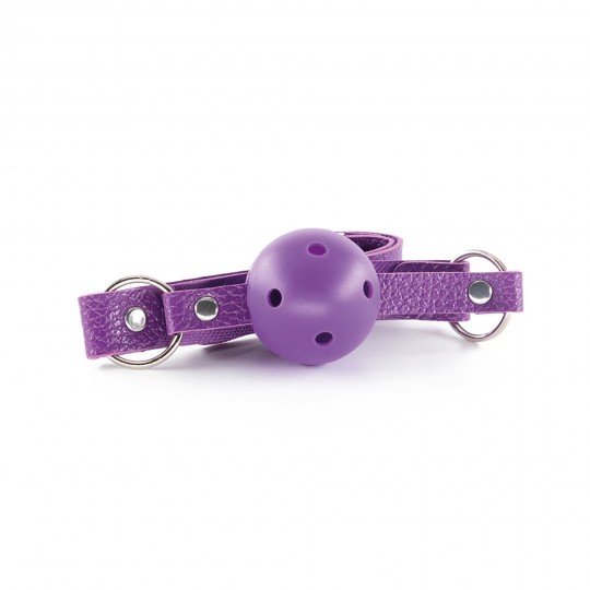 KIT BDSM DUNGEONS &amp; MAIDENS MORADO CRUSHIOUS
