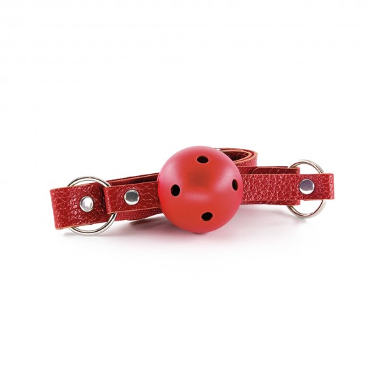 CRUSHIOUS DUNGEONS &amp; MAIDENS BDSM KIT RED