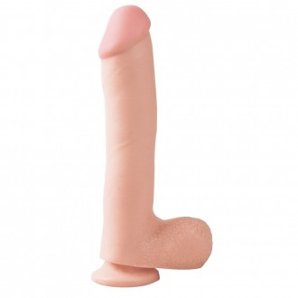DONG WITH SUCTION CUP 10\"