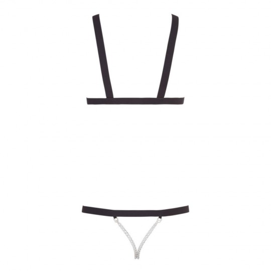 HARNESS