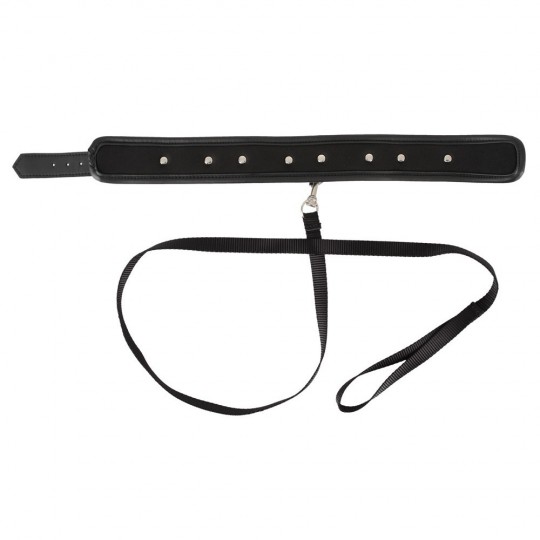 ОШЕЙНИК И ПОВОДОК