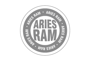 ARIES RAM